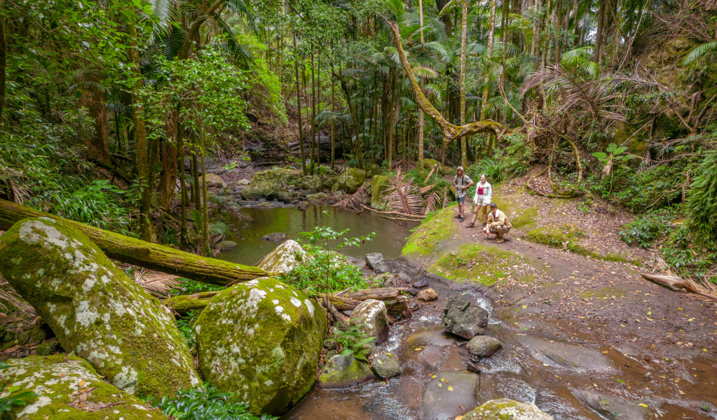 Bushwalkers taking a rest on Palm Forest walking track. Credit: John Spencer &copy; DPE 