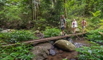 3 bushwalkers on Palm Forest walking track. Credit: John Spencer &copy; DPE 