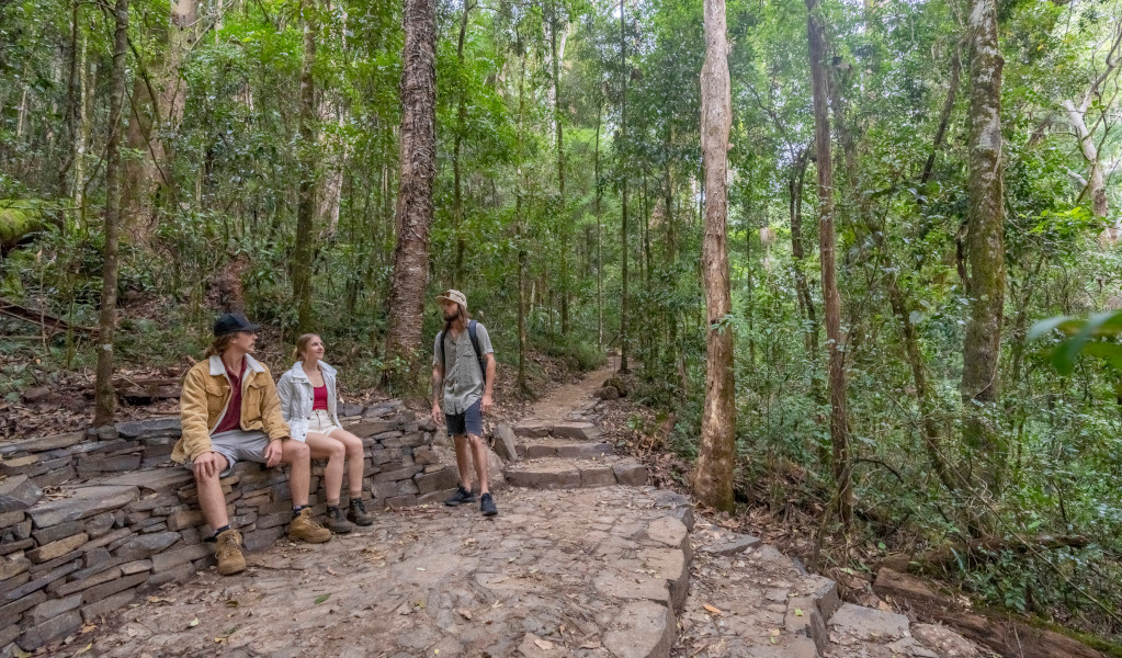 Bushwalkers taking a rest break on Palm Forest walking track. Credit: John Spencer &copy; DPE 