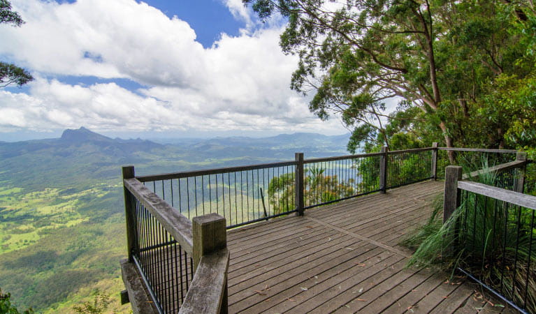 Viewpoint at Blackbutt lookout picnic area in Border Ranges National Park. Photo credit: John Spencer &copy; DPIE