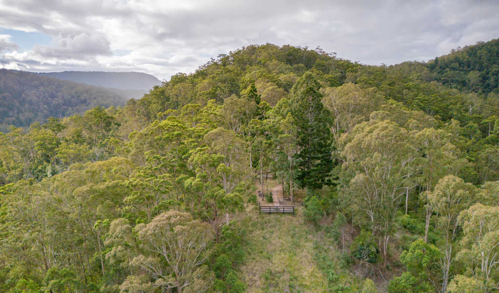 Border Loop lookout and picnic area in Border Ranges National Park. Credit: John Spencer &copy; DPE