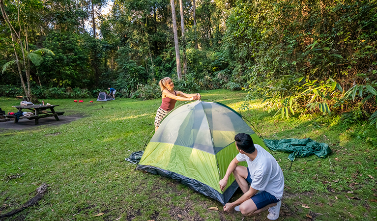 Visitors pitching a tent at Sheepstation Creek campground in Border Ranges National Park. Photo credit: John Spencer &copy; DPIE