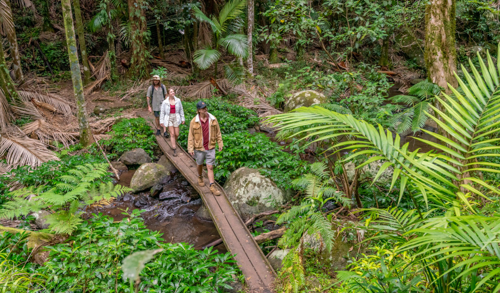 Bushwalkers on Palm Forest walking track. Credit: John Spencer &copy; DPE