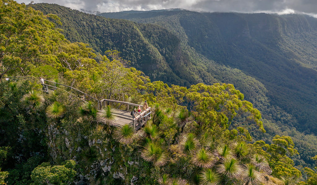 An aerial photo of visitors on the viewing platform at the Pinnacle walk and lookout with the Border Ranges in the background. Credit: John Spencer &copy; DPE