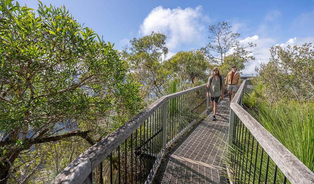 2 visitors walking along a fenced boardwalk surrounded by low vegetation at the Pinnacle walk and lookout. Credit: John Spencer &copy; DPE