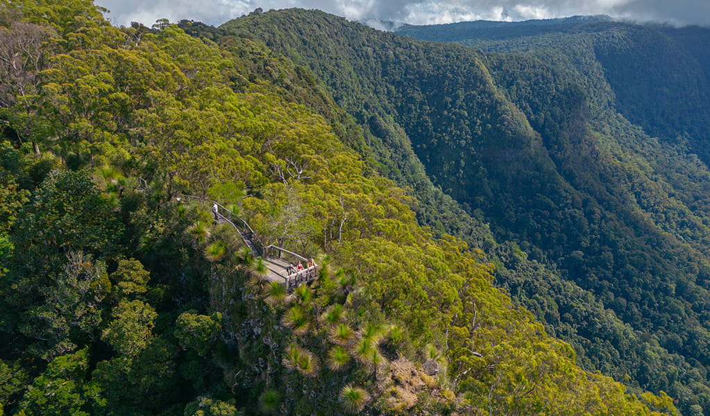 An aerial photo of the Pinnacle walk and lookout viewing platform at the edge of the Border Ranges. Credit: John Spencer &copy; DPE