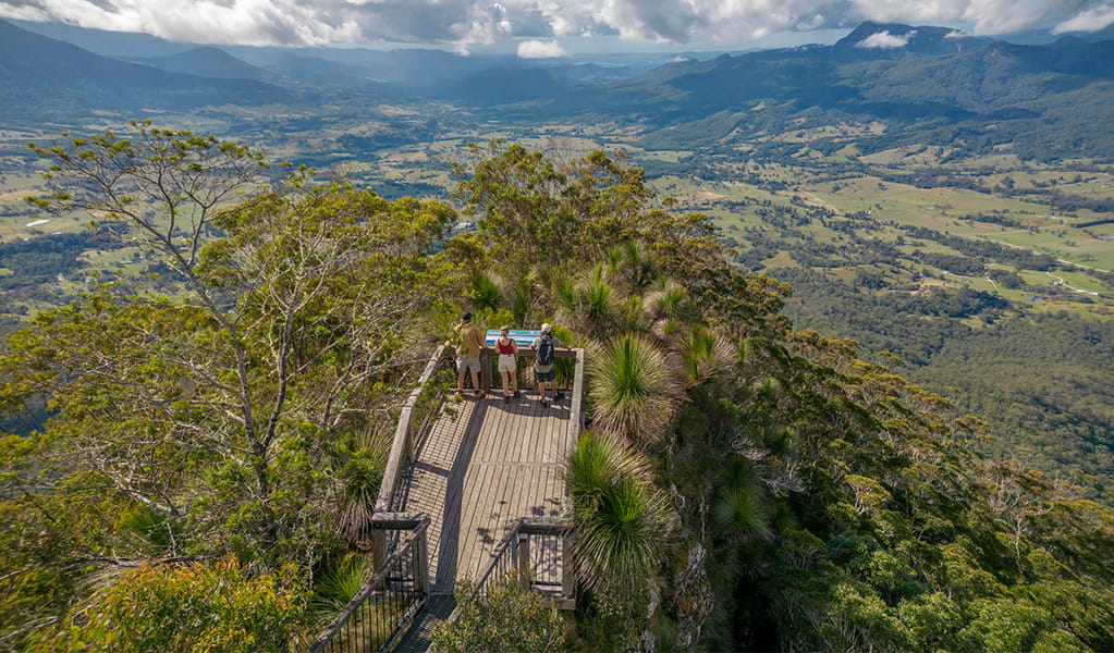 An aerial photo of visitors at the Pinnacle walk and lookout viewing platform admiring the expansive views of Tweed Caldera and Wollumbin peak. Credit: John Spencer &copy; DPE