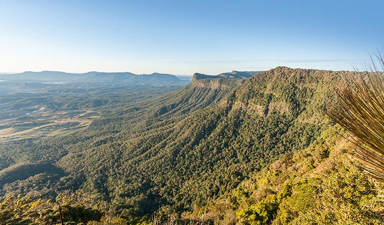 Escarpment views from Pinnacle lookout in Border Ranges National Park. Photo credit: Murray Vanderveer &copy; OEH