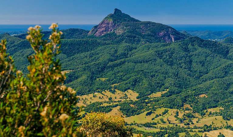 View of Wollumbin (Mount Warning) from Pinnacle lookout, Border Ranges National Park. Photo credit: Stephen King