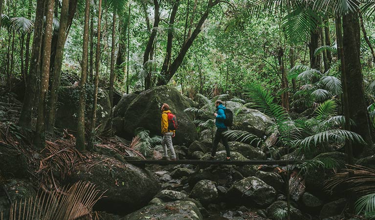 Two men cross a rainforest creek on Palm Forest walk, Border Ranges National Park. Photo credit: Branden Bodman &copy; Branden Bodman