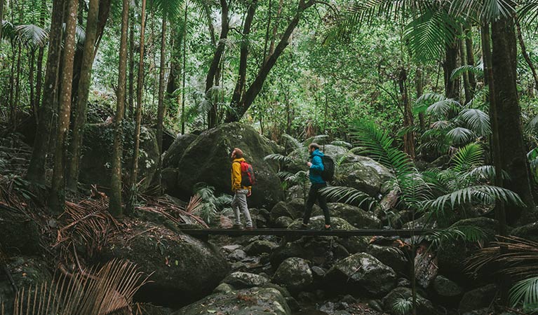 Two men cross a rainforest creek on Palm Forest walk, Border Ranges National Park. Photo credit: Branden Bodman &copy; Branden Bodman