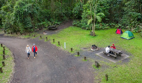 Pitch your tent at Sheepstation Creek campground, Border Ranges National Park. Photo: DPIE/ John Spencer