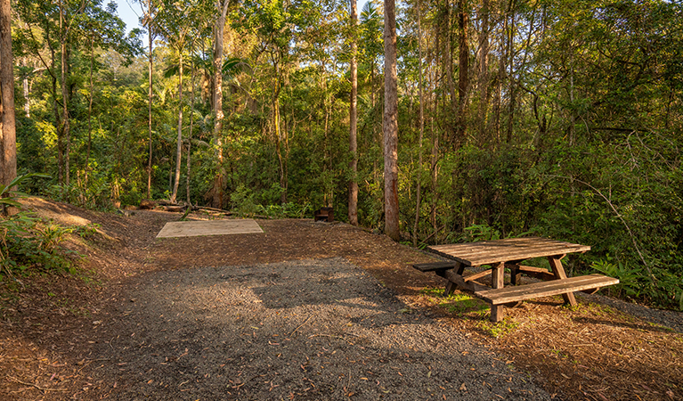 Dedicated campervan site at Sheepstation Creek campground, Border Ranges National Park. Photo credit: John Spencer &copy; DPIE