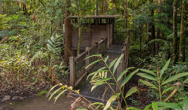 Wheelchair accessible toilet facilities, Sheepstation Creek campground, Border Ranges National Park. Photo credit: John Spencer &copy; DPIE