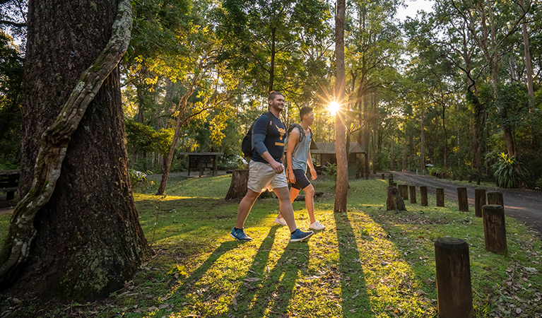 Two men walk across grass at Sheepstation Creek campground, Border Ranges N...