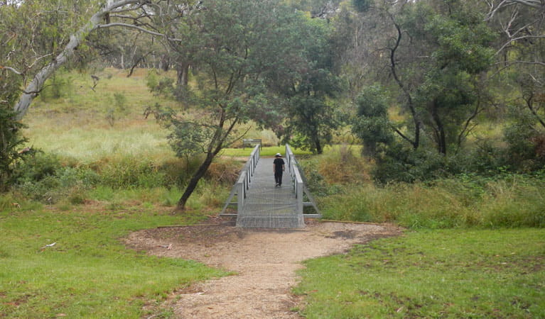 Person walking on a bridge, Borenore Karst Conservation Reserve. Photo: Debby McGerty &copy; DPIE
