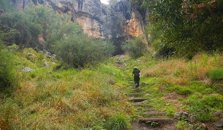 A person walking on Arch loop track, Borenore Karst Conservation Reserve. Photo: Debby McGerty &copy; OEH  