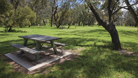 Picnic table in Borenore picnic area. Photo: &copy; Ian Brown