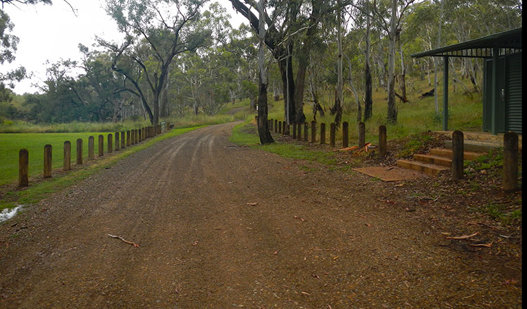 Borenore picnic area. Photo: Debby McGerty &copy; OEH