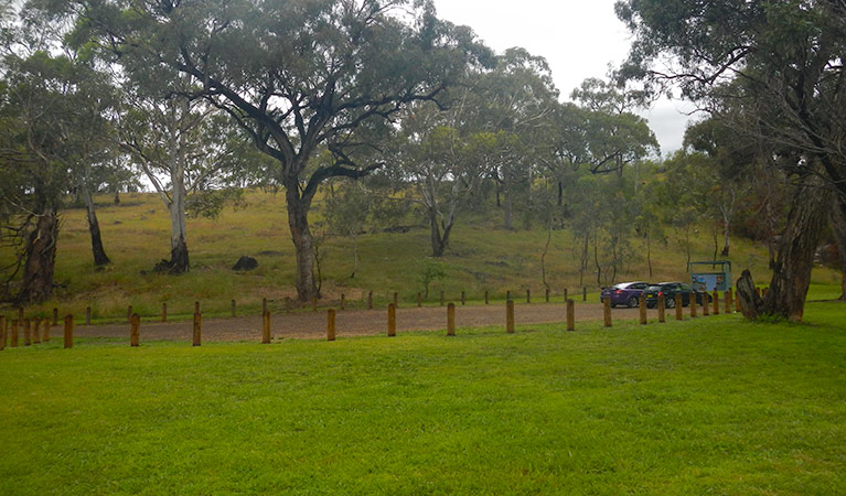 Borenore picnic area in Borenore Karst Conservation Reserve. Photo: Debby McGerty &copy; OEH