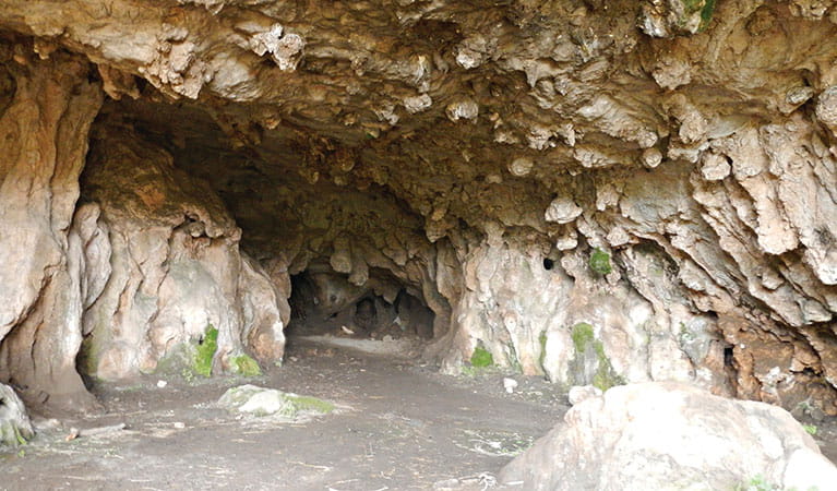 The entrance to Arch Cave on Arch Loop track in Borenore Karst Conservation Reserve. Photo: Debby McGerty &copy; DPIE