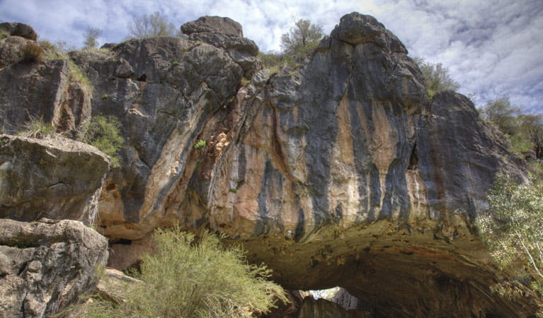 Arch cave, Borenore Karst Conservation Reserve. Photo: &copy; Ian Brown