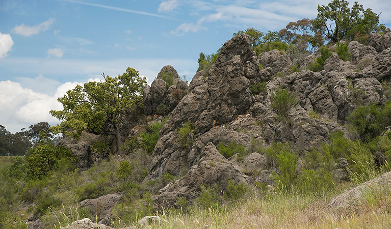 Verandah Cave, Borenore Karst Conservation Reserve. Photo &copy; Steve Woodhall