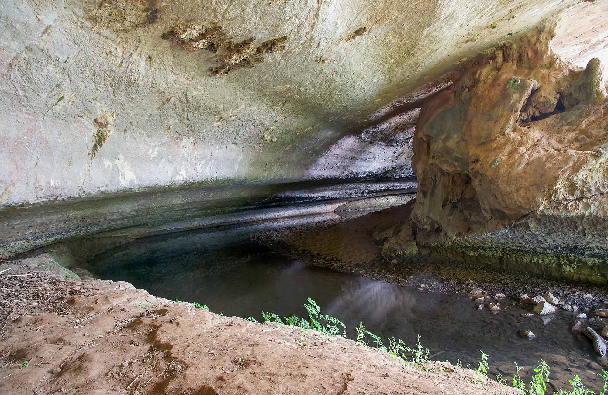 Verandah Cave, Borenore Karst Conservation Reserve. Photo &copy; Steve Woodhall