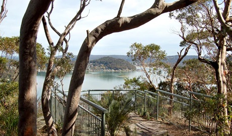 Allen Strom Lookout, Bouddi National Park. Photo: Susan Davis &copy; OEH