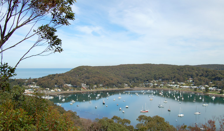 Allen Strom Lookout, Bouddi National Park. Photo: Susan Davis &copy; OEH