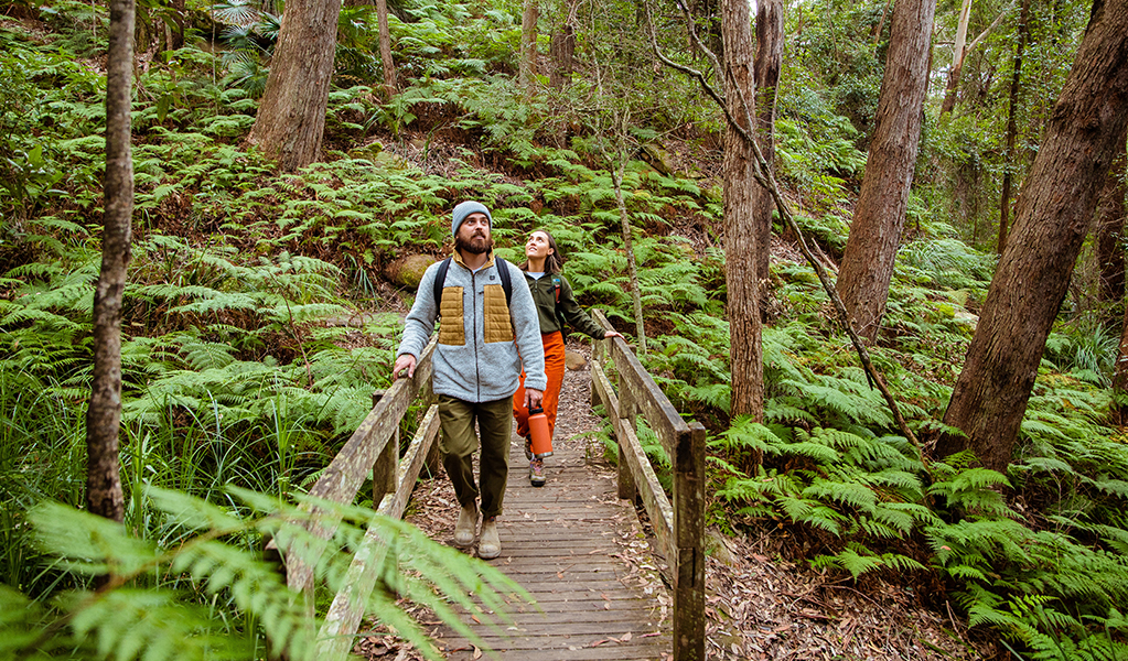 Two hikers walking through tall forest with ferns on Bouddi coastal walk. Photo: Jarod Lyons &copy; DPE