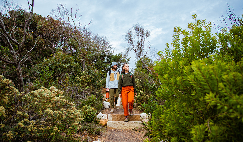 Walkers descending sandstone steps in coastal heath bushland on Bouddi coastal walk. Photo: Jared Lyons &copy; DPE