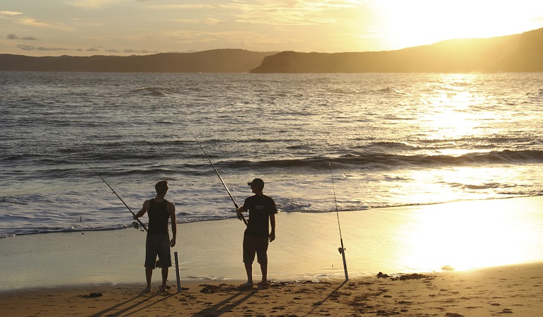 Putty Beach, Bouddi coastal walk, Bouddi National Park. Photo: John Yurasek &copy; OEH