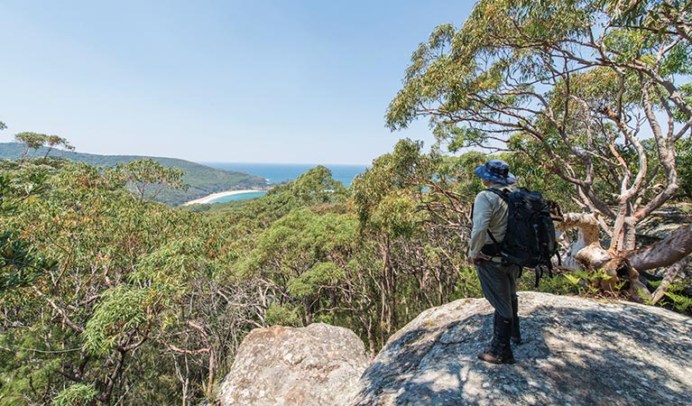 A bushwalker admiring views of bushland and ocean from the Bouddi Ridge Explorer trail. Photo: John Spencer/DPIE