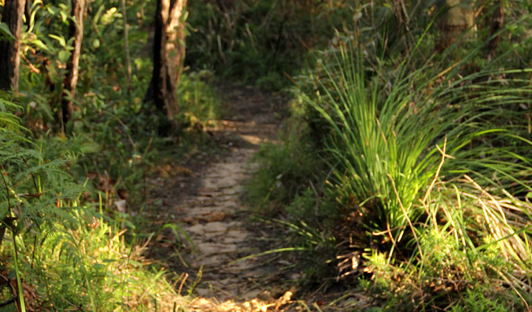 Bouddi Ridge Explorer cycling route. Photo: John Yurasek