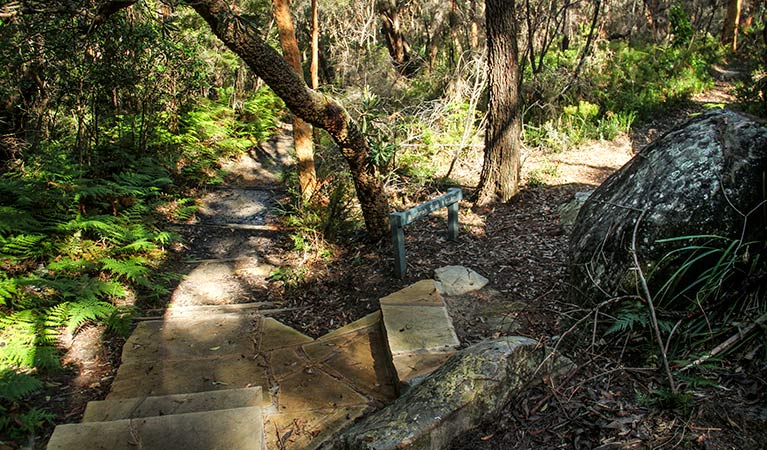 Stairs winding along the Bullimah track. Photo: John Yurasek &copy; OEH