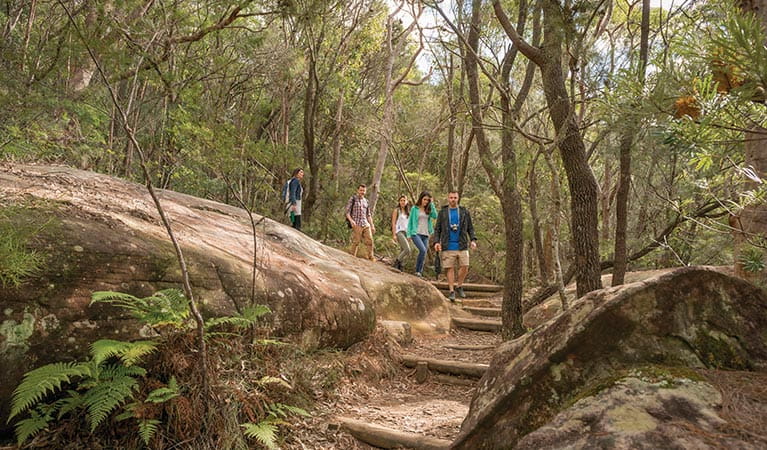 A group of friends bushwalking on Bullimah Spur track. Photo: John Spencer &copy; OEH