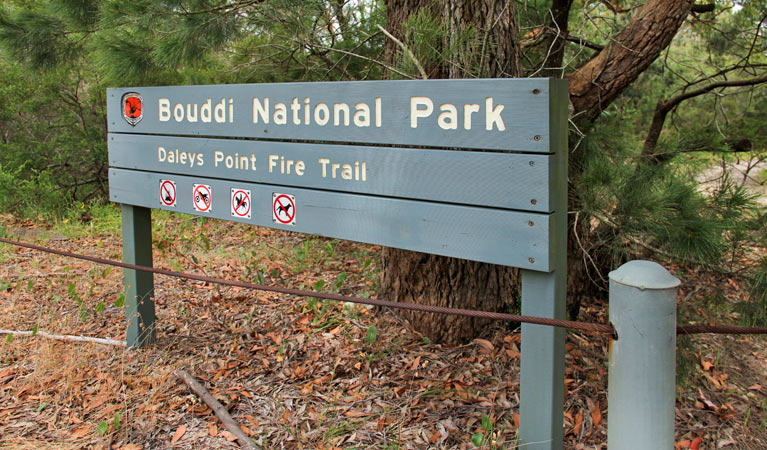 Daleys Point walking track, Bouddi National Park. Photo John Yurasek