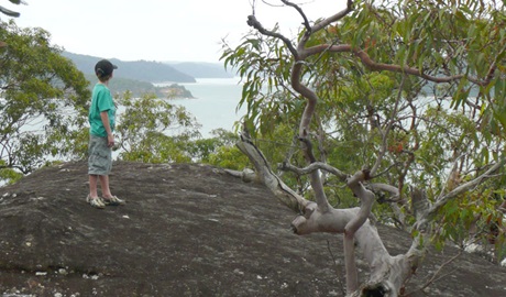 A child looks out from a rock ledge on Flannel Flower walking track. Photo &copy; Sarah Brookes