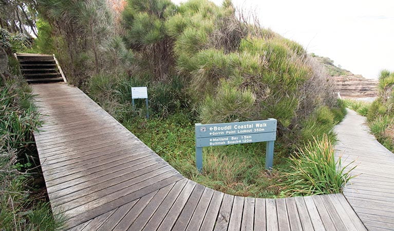 The wooden boardwalk that leads to Gerrin Point lookout. Photo credit: Nick Cubbin. <HTML>&copy; DPIE