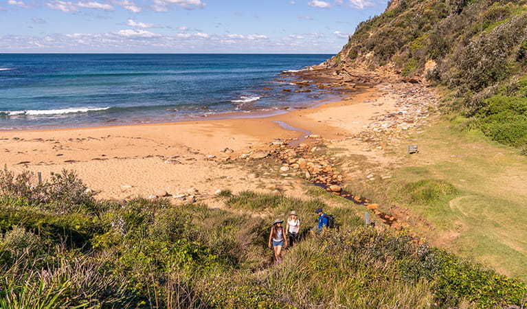3 people walking up from the Little beach, Bouddi National Park. Photo: John Spencer/DPIE.