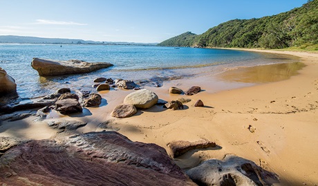 Lobster Beach, Bouddi National Park. Photo: John Spencer