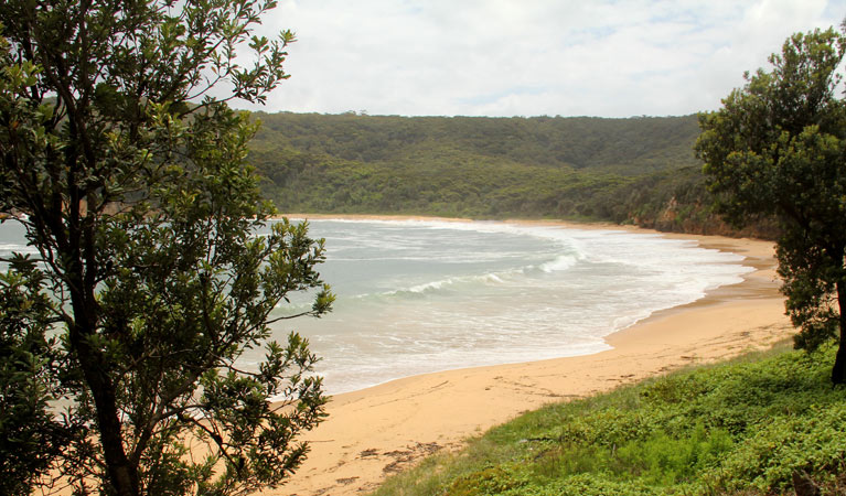 View of Maitland Bay from the track. Photo: John Yurasek &copy; OEH