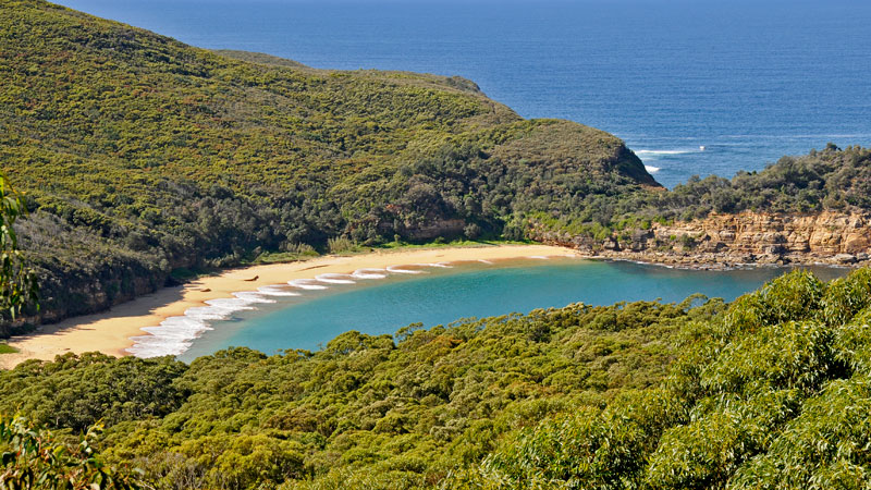 Maitland Bay, Bouddi National Park. Photo: Kevin McGrath