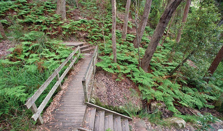 Stairs and railing on Maitland Bay walking track in Bouddi National Park. Photo credit: Nick Cubbin &copy; OEH