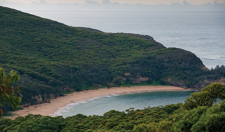 View looking down to Maitland Bay in Bouddi National Park. Photo credit: Nick Cubbin &copy; OEH