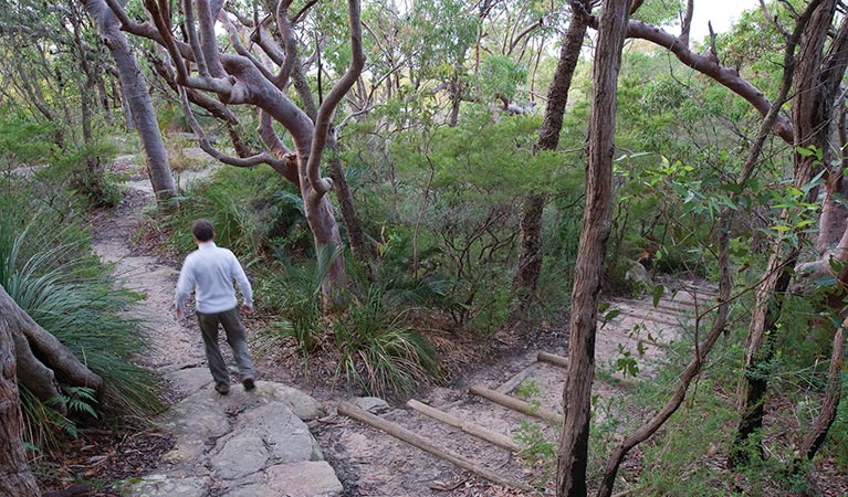 A man walking on Maitland Bay track in Bouddi National Park. Photo credit: Nick Cubbin &copy; OEH