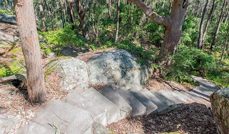 Mount Bouddi walking track, Bouddi National Park. Photo: John Spencer