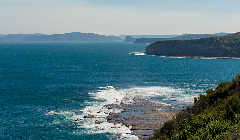 Mount Bouddi walking track, Bouddi National Park. Photo: John Spencer