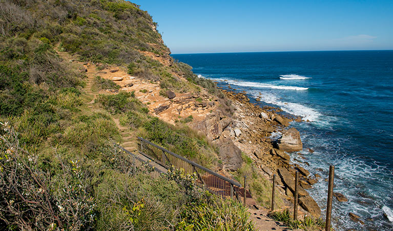 Mount Bouddi walking track, Bouddi National Park. Photo: John Spencer